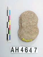 藏品(小砝碼型石網墜)的圖片